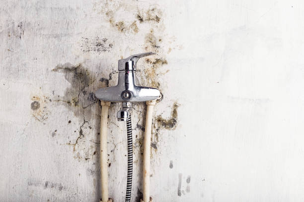 Best Commercial Mold Removal  in Goshen, CA