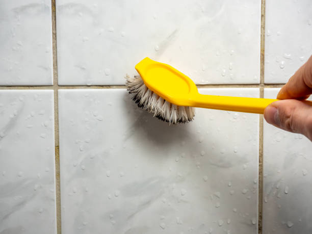 Best Mold Cleaning Services  in Goshen, CA