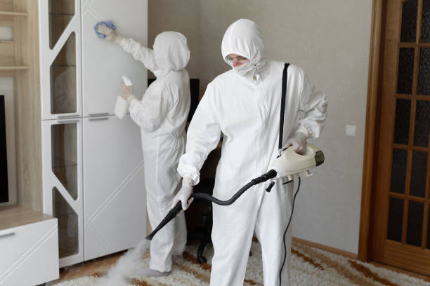Best Toxic Mold Removal  in Goshen, CA