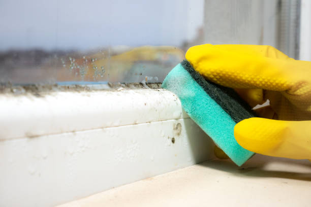 Best Office Mold Removal Services  in Goshen, CA