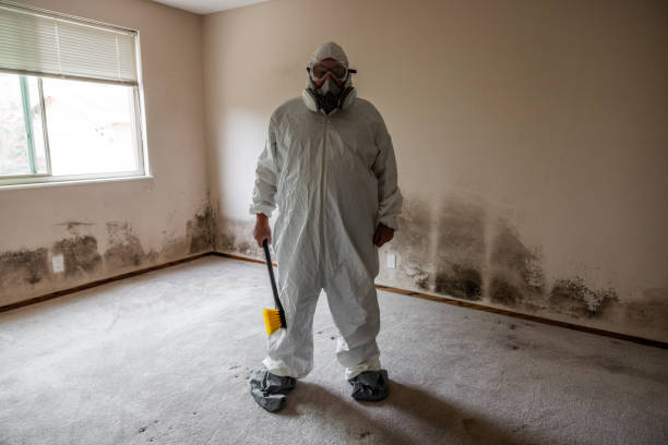 Best Mold Damage Repair  in Goshen, CA