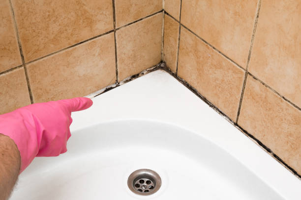 Best Emergency Mold Removal  in Goshen, CA